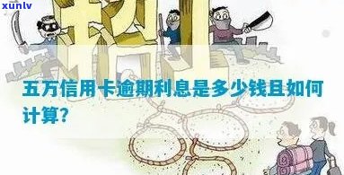 信用卡逾期5万利息计算方式解析：详尽步骤与影响