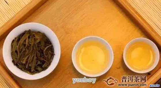 沙井喝的普洱茶是哪种：请推荐与茶叶种类