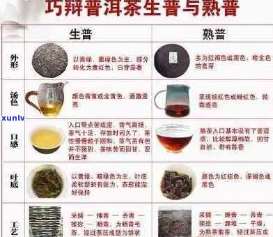 全面探索沙井地区更具口感的普洱茶品种，为您带来品茗体验