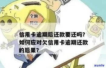 信用卡逾期还款后，能否在景区享受优门票？