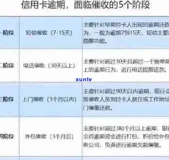 信用卡逾期后，能否在景区内或其它地方合法借款以应对债务问题？