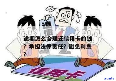 信用卡逾期后，能否在景区内或其它地方合法借款以应对债务问题？