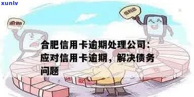 信用卡逾期后，能否在景区内或其它地方合法借款以应对债务问题？