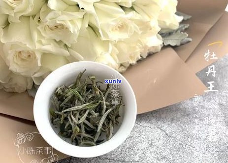 泡过的普洱茶的香气