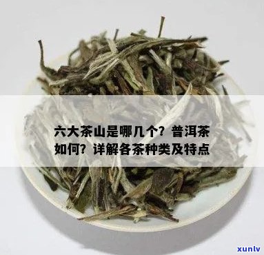 六大茶山普洱茶如何