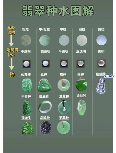 '翡翠种水讲解':深入了解翡翠种水的重要性和技巧