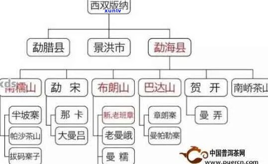 滇茶与普洱茶：全面解析两者特点、产地、发酵程度及品饮 *** 的异同