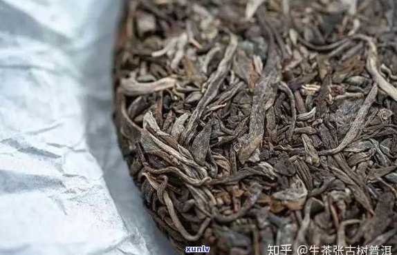 普洱茶260元一斤：品种、产地与品质的全面解析