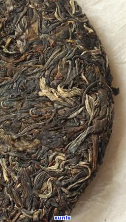 普洱茶中发现茶虫：有效解决方案与预防措