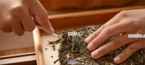 探索普洱茶冲泡艺术：使用茶针的正确 *** 与技巧