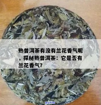 普洱茶的香味：兰花香还是其他？为什么普洱茶会有一种独特的香气？