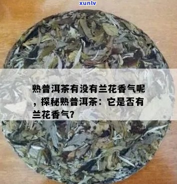 普洱茶与兰花香味的相似性：真相揭秘