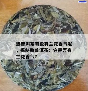 普洱茶：兰花香的特征与品质，如何鉴别？