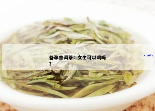 '女性吃香椿能喝普洱茶吗？女性喝多少合适？'。