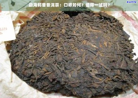 邦海普洱茶口感特点分析