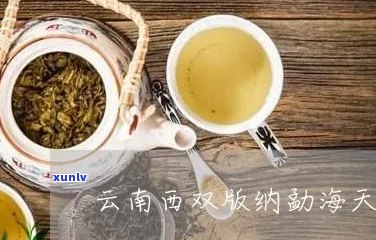 云南临沧邦海茶厂品质优良的天成茶评价如何？