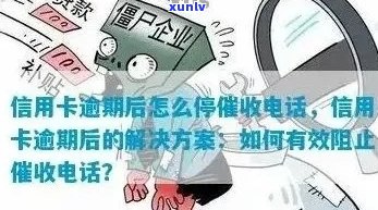 信用卡逾期13天后的 *** ：处理策略与影响分析