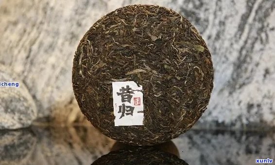 家驹普洱茶的概念