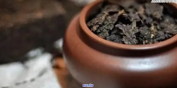 如何巧妙处理普洱茶碎末：小窍门与解决方案