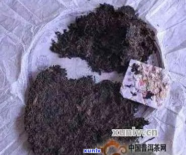 普洱茶如何研磨成粉末：步骤、技巧以及用途