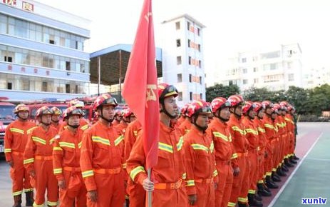 山竹和普洱同时食用：安全与禁忌全解析