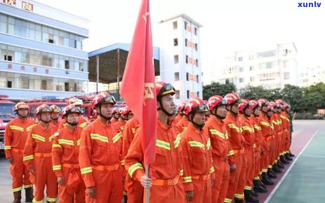 山竹和普洱同时食用：安全与禁忌全解析