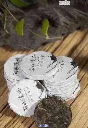 普洱茶里的小包装物是什么？它们有哪些用途和特点？