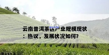 普洱市茶产业发展现状调查及分析