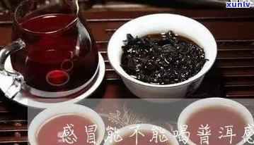 喝普洱茶能治感冒吗？小孩、女性、普洱对感冒有解药吗？