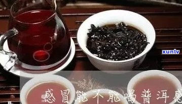 普洱茶对缓解感冒症状的有效性及其科学原理探究