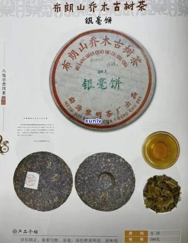 云南普洱茶茶饼价格及品质大全 - 全面了解普洱茶市场和选购指南