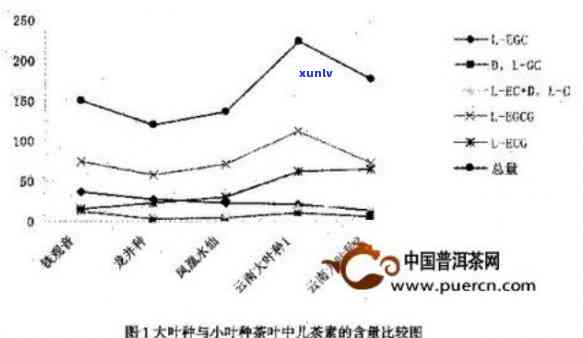 儿茶素在普洱茶中的作用与含量：一篇文章全面解析