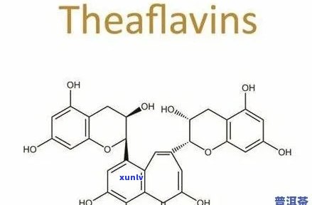 茶叶中的儿茶素具有哪些保健功能和作用