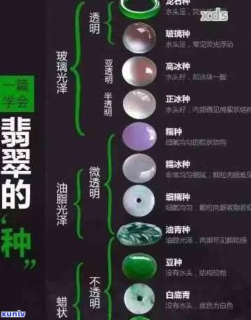 寻找更佳翡翠种水 *** ：全面解析与比较各类水质对翡翠影响