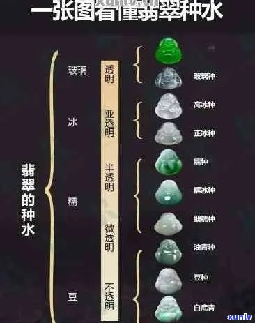 翡翠种水标准