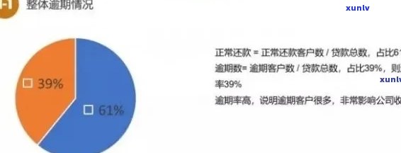 逾期客户分析：了解不同类型的逾期客户及其应对策略