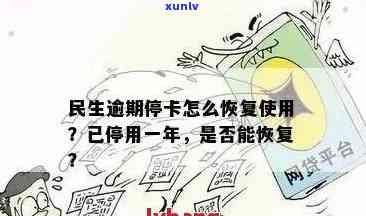 民生信用卡逾期停用后恢复期全面解答：时间、手续及影响因素一网打尽