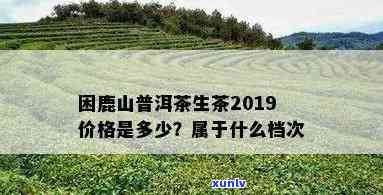 困鹿山普洱茶生茶：价格、品质与购买渠道全面解析，助您轻松选购！