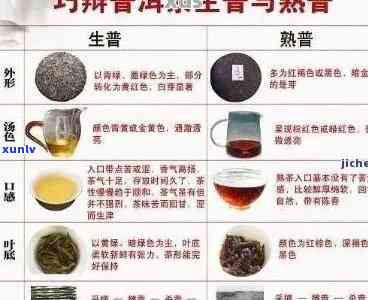 普洱茶级别：顺序划分、越高越好吗？基础是什么？