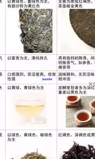 普洱茶儿茶素含量详解：如何科学选择和品鉴普洱茶？