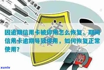 信用卡逾期后被暂停，如何恢复信用及解决相关问题