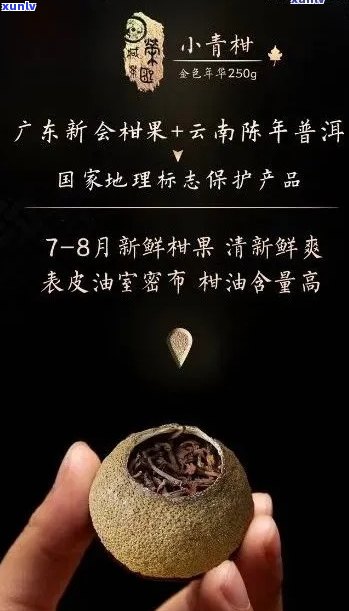 江一号普洱茶价格表大全：江一号是什么茶？陈皮普洱与小青柑的价格解析