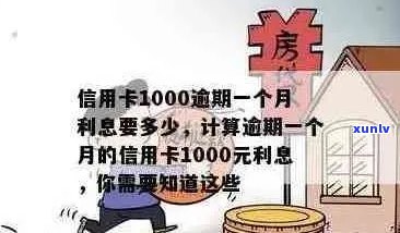 信用卡1000逾期一个月利息计算与应对策略