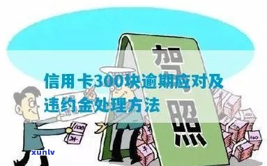 信用卡逾期还款300元后的解决办法及注意事项