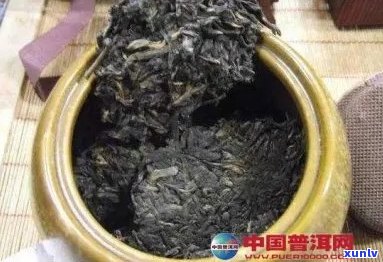 什么是普洱茶的干醒