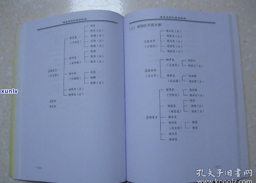 云南氏家族的源流及其文化传承