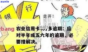 农业信用卡逾期还款3万多，如何解决逾期问题？