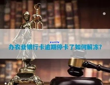 农行卡信用卡逾期3个月冻结后如何恢复使用及解决逾期问题