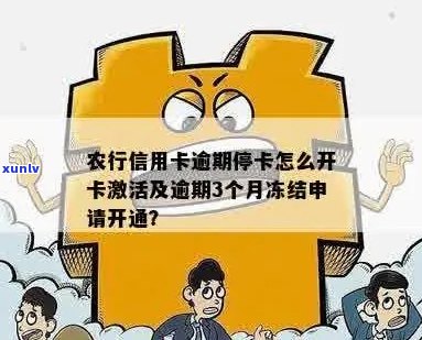 农行卡信用卡逾期3个月冻结后如何恢复使用及解决逾期问题