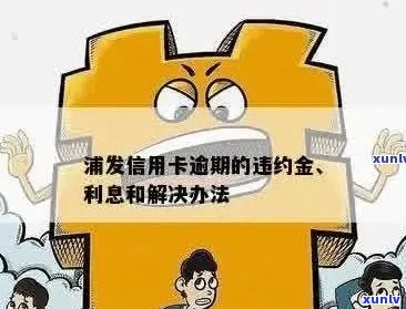 浦发信用卡逾期罚息计算 *** 及金额全面解析，了解逾期还款的后果与应对策略